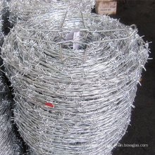 Popular HDP galvanized barbed wire
